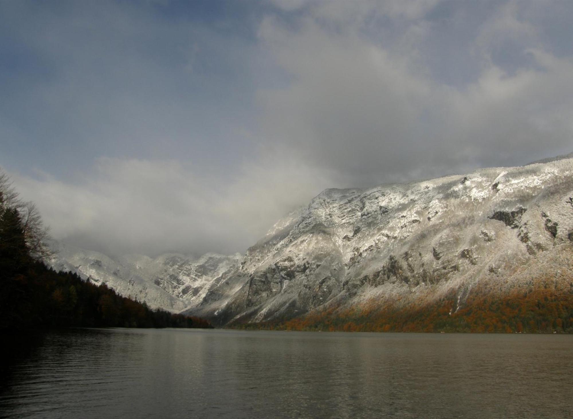 Booa Irena Bohinji-tó