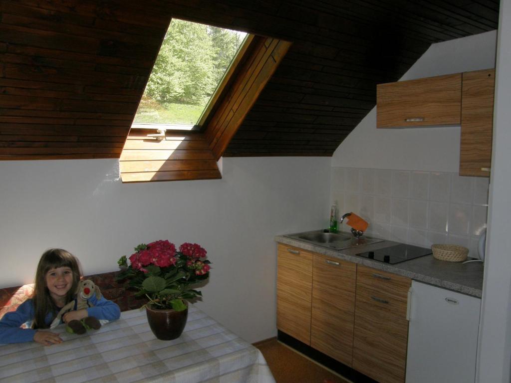 Booa Irena Apartman *